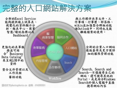 互聯(lián)網(wǎng)平臺開發(fā)PPT模板 引領數(shù)據(jù)服務新趨勢